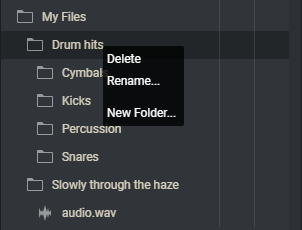 Delete or Rename folder