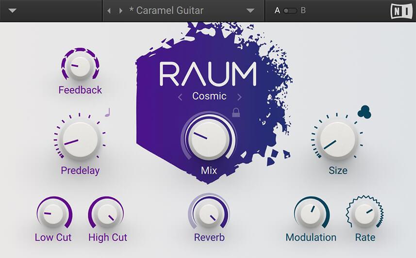 Native Instruments Raum