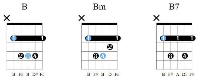 How to play guitar for beginners Chords from B, Bm, B7