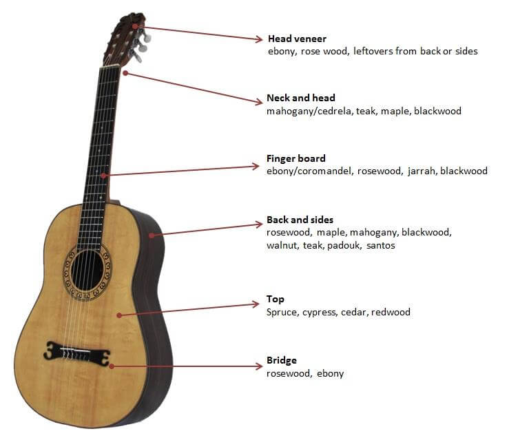 The structure of an acoustic guitar