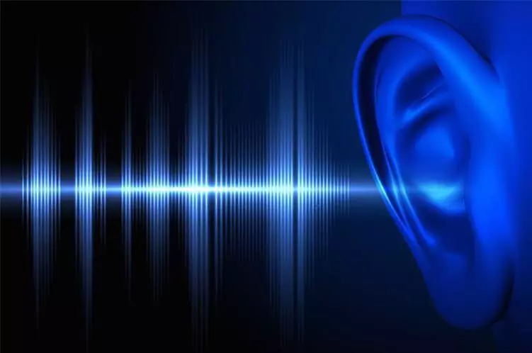 Fundamental characteristics of sound