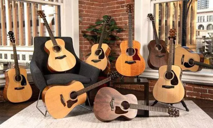 How to choose a guitar for beginners