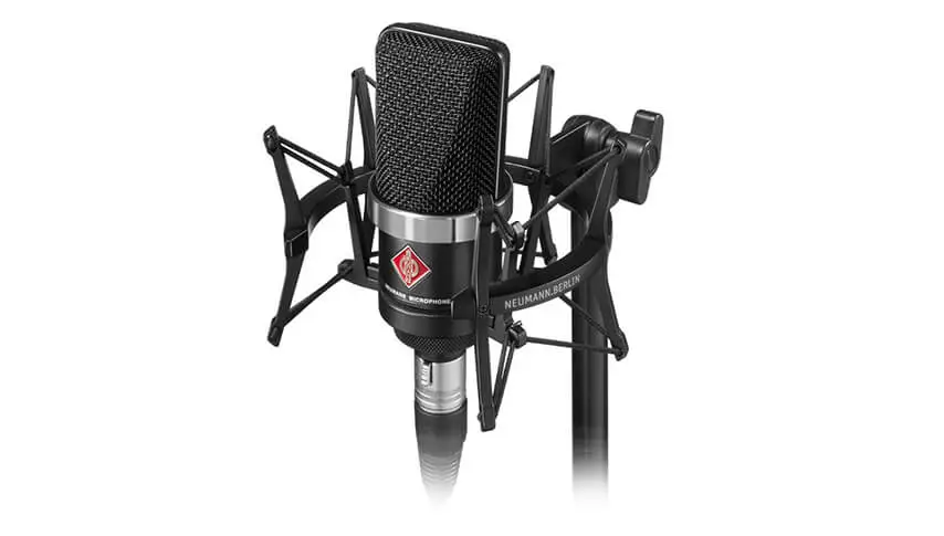 Neumann TLM 102 microphone