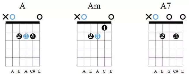 How to play guitar for beginners Chords from A, Am, A7