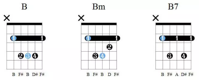 Cómo tocar la guitarra para principiantes Acordes de B, Bm, B7